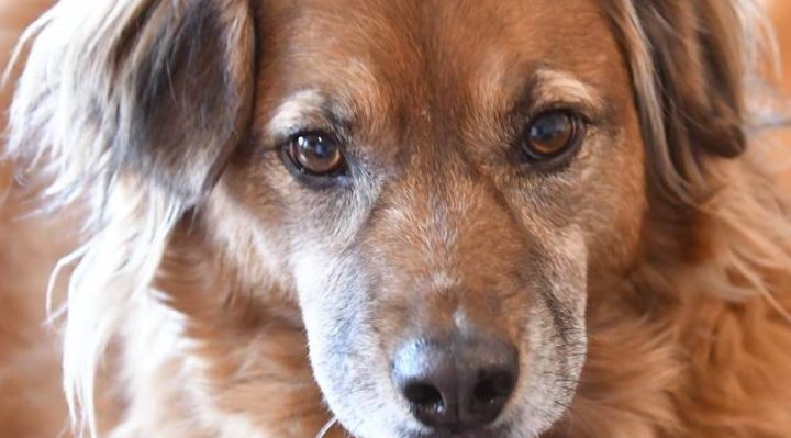 NanArthur | FOX 28 Spokane