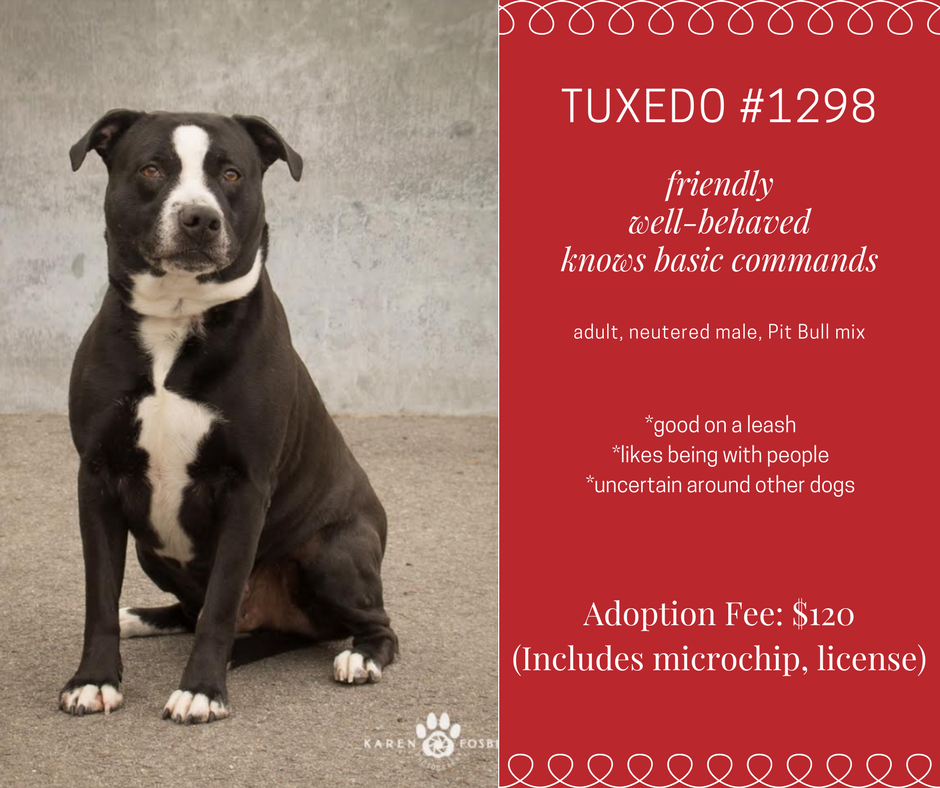 TUXEDO #1298