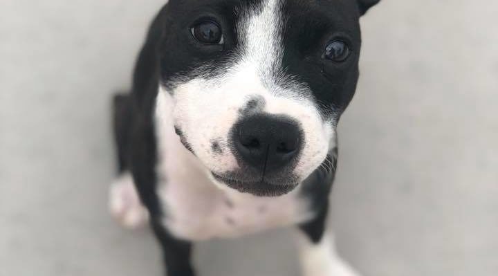 AmberAbbott2 | FOX 28 Spokane