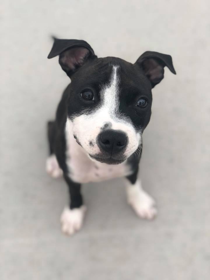 AmberAbbott2 | FOX 28 Spokane