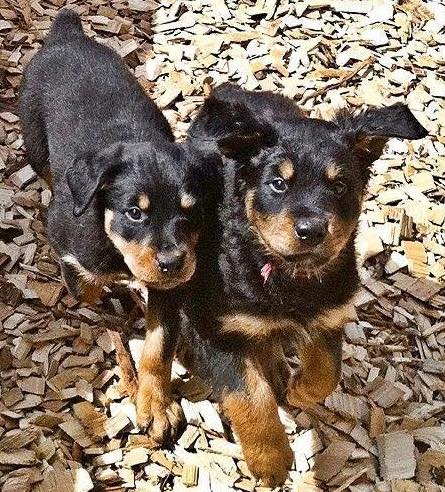 ChristineHaleVertucci | FOX 28 Spokane