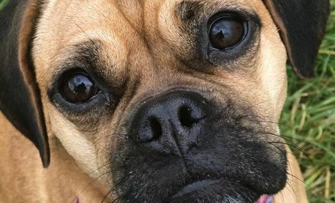 28278956_10212311888247655_42714245540592737_n | FOX 28 Spokane