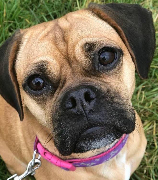 28278956_10212311888247655_42714245540592737_n | FOX 28 Spokane