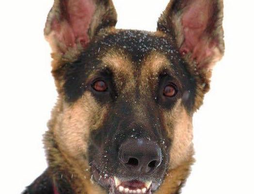 AprilStevenson | FOX 28 Spokane