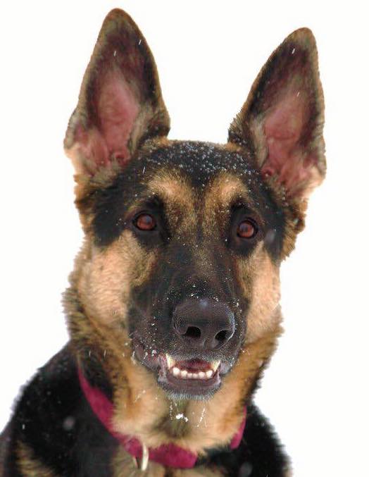 AprilStevenson | FOX 28 Spokane