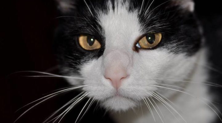 NanArthur | FOX 28 Spokane