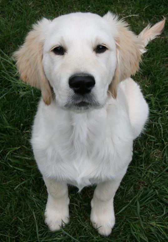 JillGibbsHenry12weeks | FOX 28 Spokane