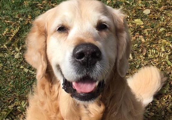 JillGibbsHenry9years | FOX 28 Spokane