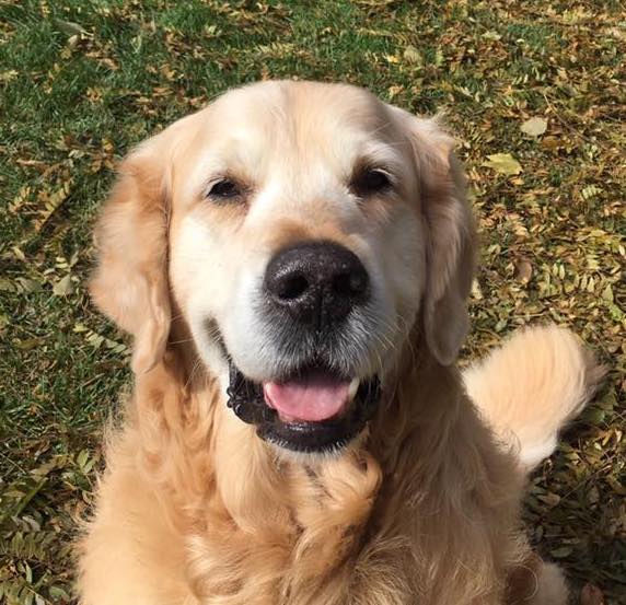 JillGibbsHenry9years | FOX 28 Spokane