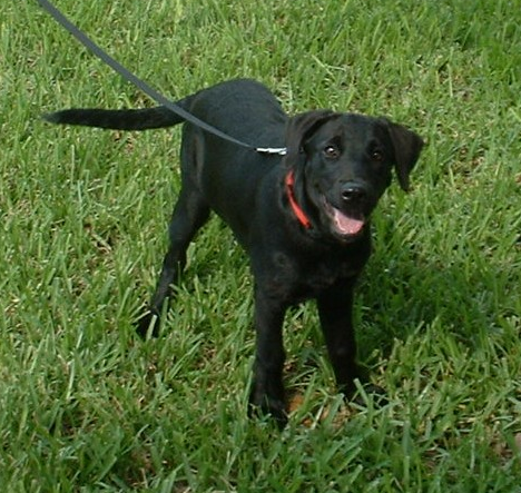 MarilynClairWolfMolly4mos | FOX 28 Spokane