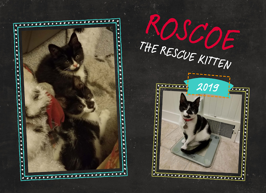 RoscoeCalendar:RebeccaCook | FOX 28 Spokane