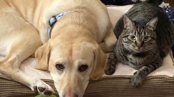 JaniceLangbehn1 | FOX 28 Spokane