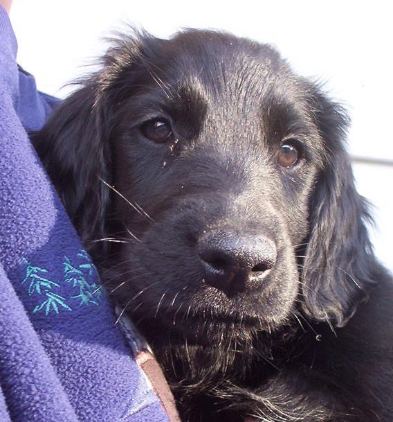 JillGibbsIzzy8weeks | FOX 28 Spokane