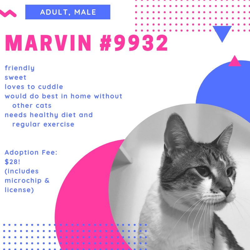 marvin9932