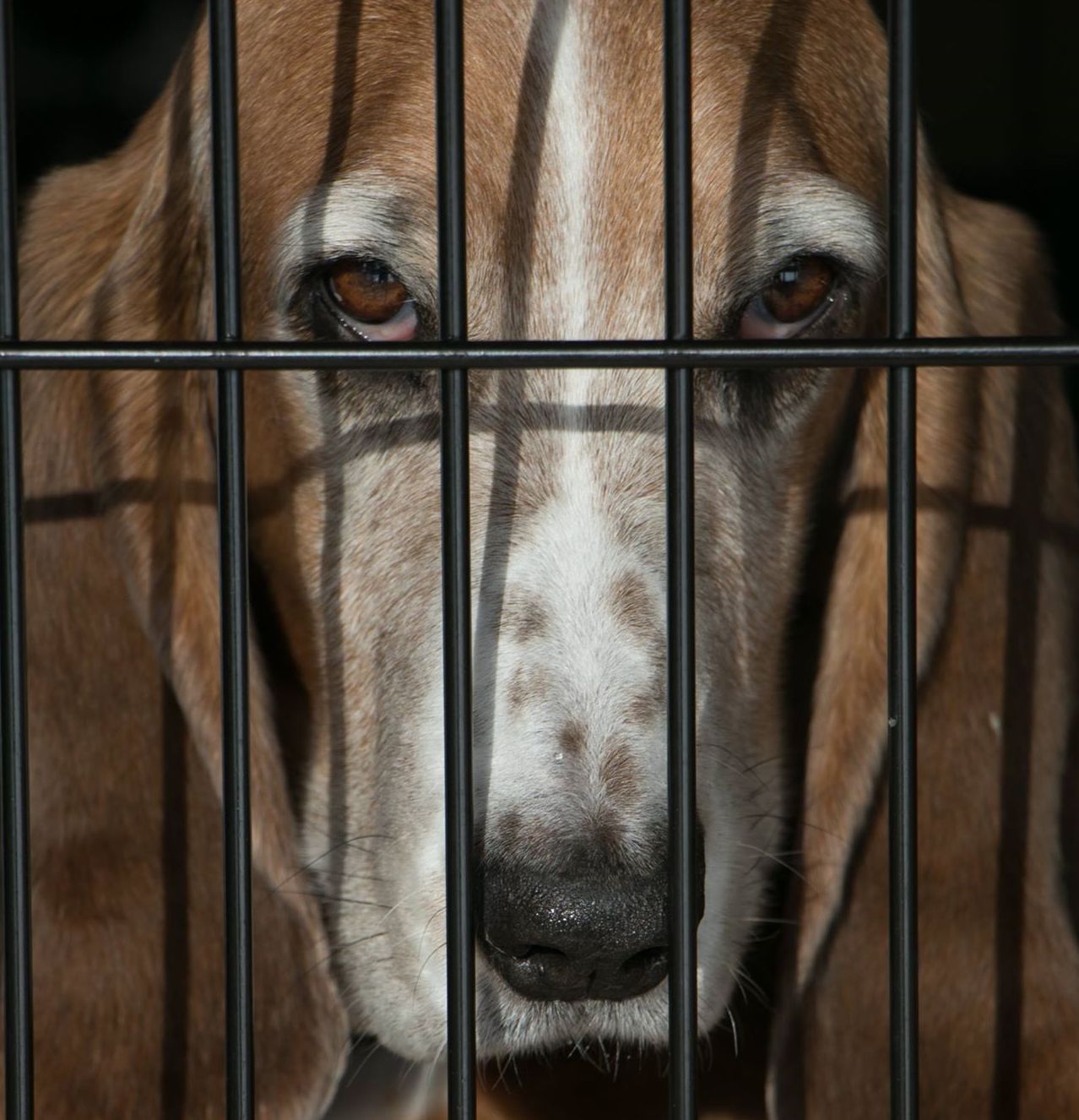 CherieMarshallFred | FOX 28 Spokane