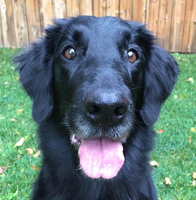 53595312_10211532507102951_332606051268427776_n | FOX 28 Spokane