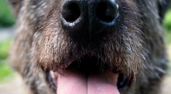 JenniferBristol | FOX 28 Spokane