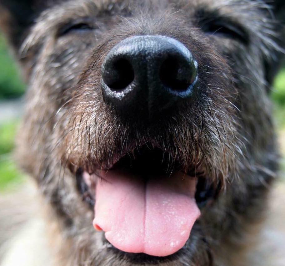 JenniferBristol | FOX 28 Spokane