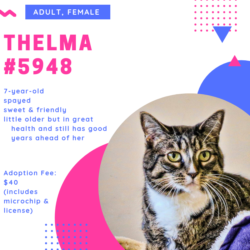 thelma 5948