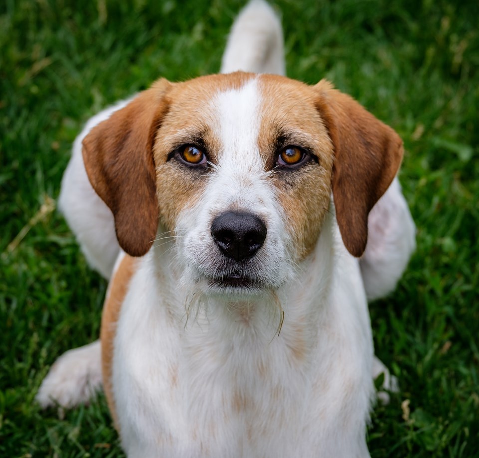 StevenCogswellGerald | FOX 28 Spokane