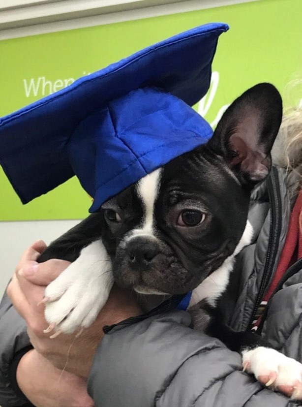 TamiArchilla | FOX 28 Spokane