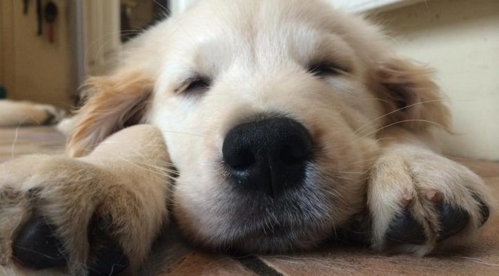 DeniseO'Moore-Harrison | FOX 28 Spokane