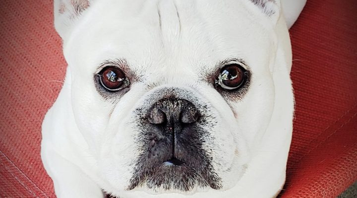 JamieWilke | FOX 28 Spokane