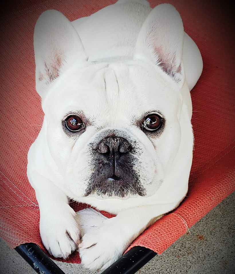 JamieWilke | FOX 28 Spokane