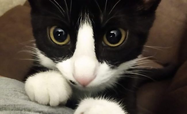 WillWuorinen | FOX 28 Spokane