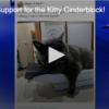 Love and Support for the Kitty Cinderblock!