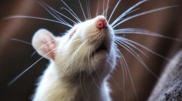 BrynNowell | FOX 28 Spokane