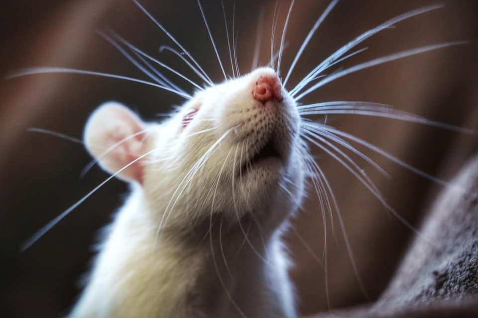 BrynNowell | FOX 28 Spokane