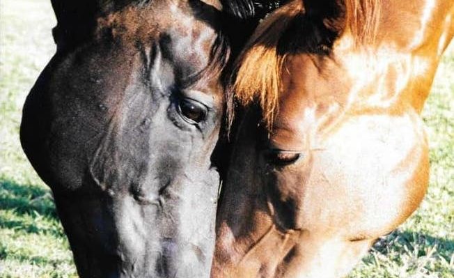 DarceyByrne | FOX 28 Spokane