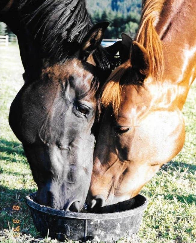 DarceyByrne | FOX 28 Spokane