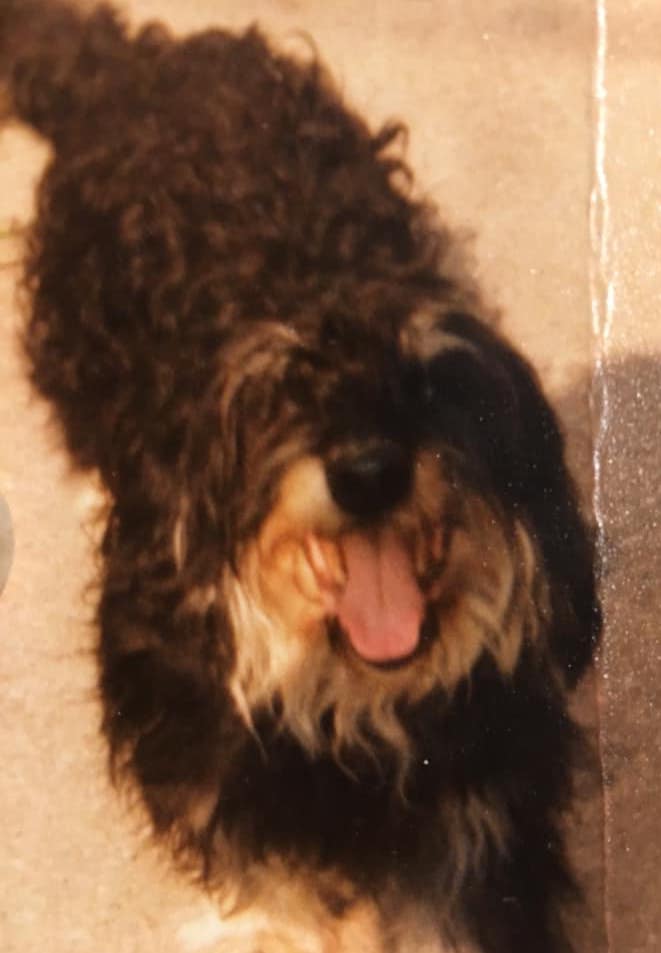 GinaLehutaNichols | FOX 28 Spokane