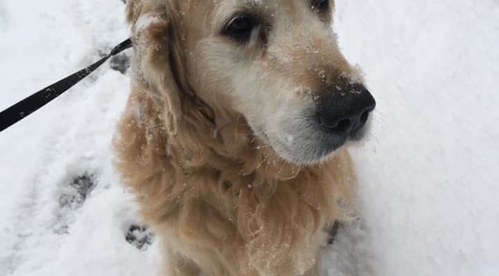 JillGibbs | FOX 28 Spokane