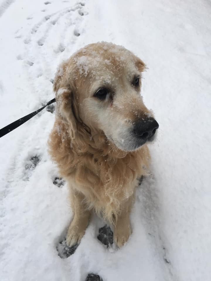 JillGibbs | FOX 28 Spokane