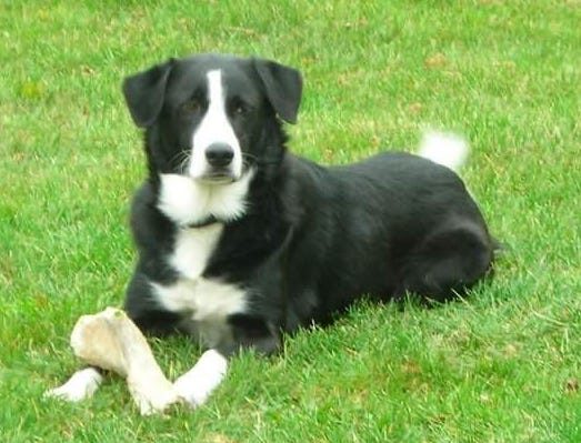 KatieCronin | FOX 28 Spokane