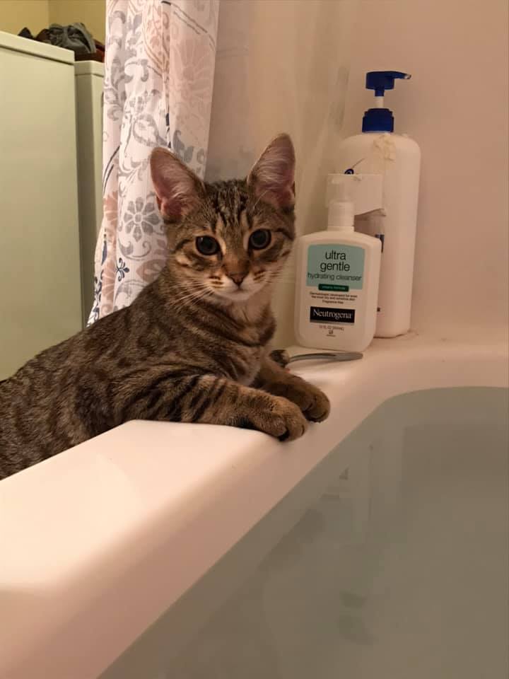 MeganCuilla | FOX 28 Spokane