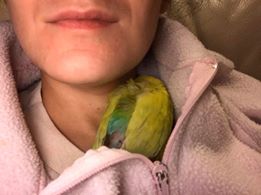 MichaMichlewicz | FOX 28 Spokane