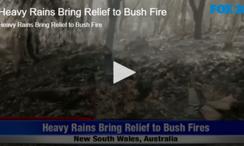 Heavy Rains Bring Relief to Bush Fire