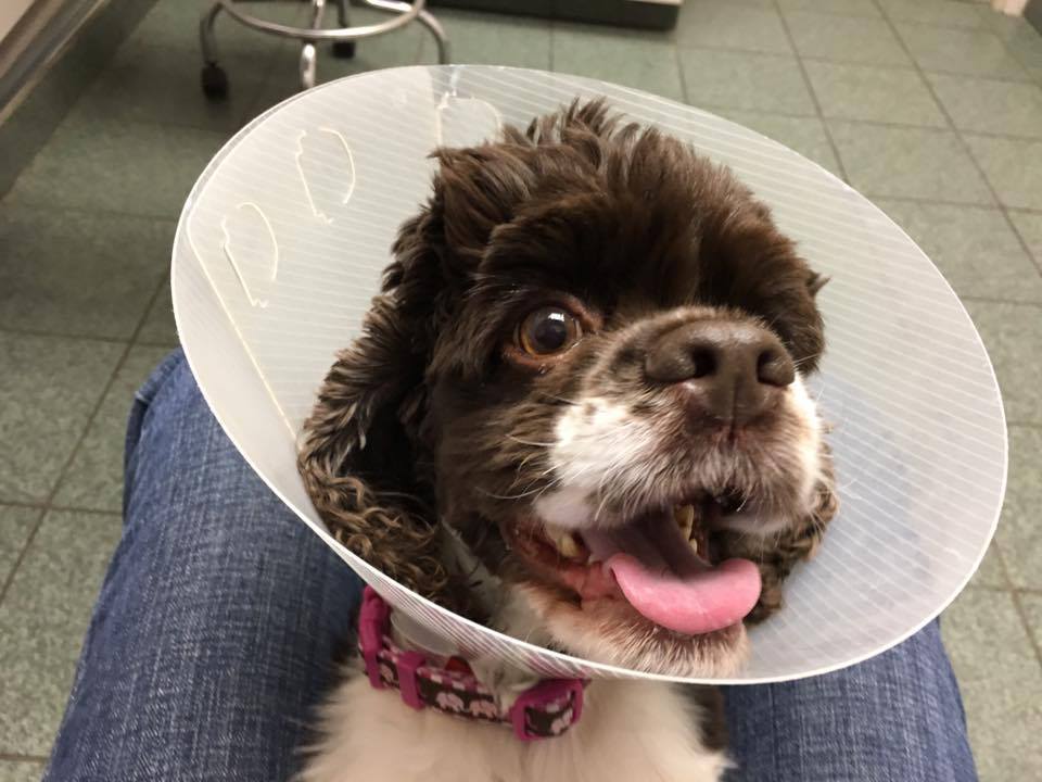 ToniVignogna | FOX 28 Spokane