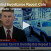Animal Control Investigates Repeat Calls
