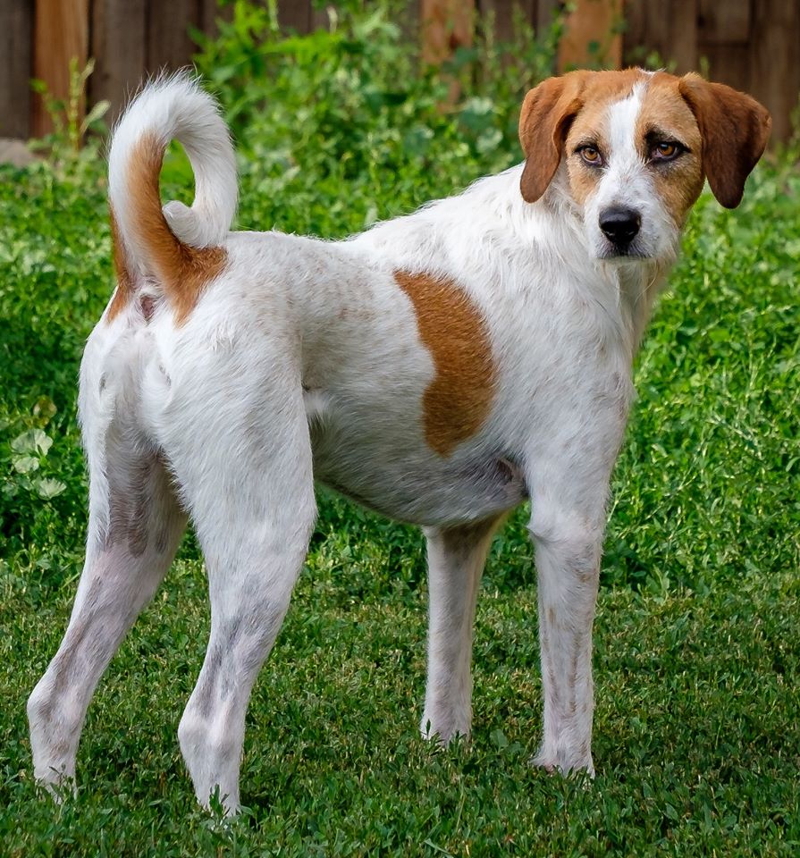 StevenCogswell | FOX 28 Spokane