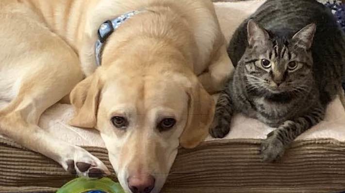 JaniceLangbehn | FOX 28 Spokane