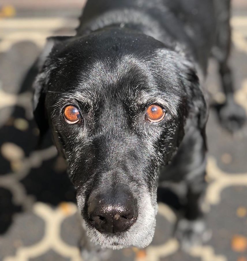 NathalieMosbachSmith | FOX 28 Spokane