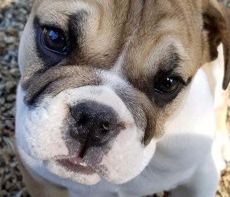 ShellyKeel | FOX 28 Spokane