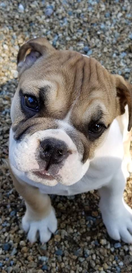 ShellyKeel | FOX 28 Spokane