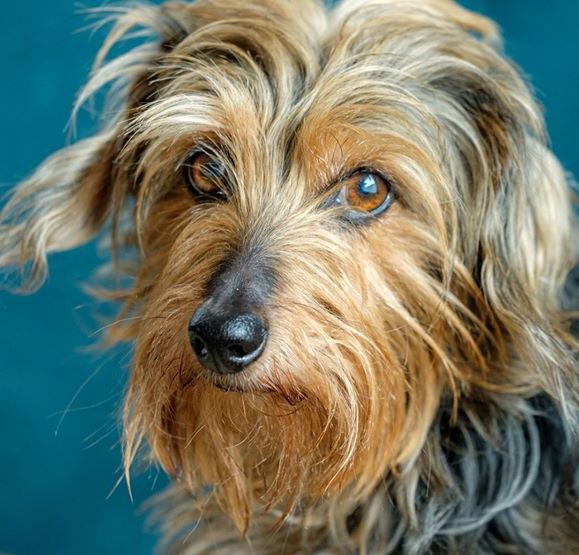 StevenCogswell | FOX 28 Spokane