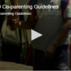 COVID-19 Co-parenting Guidelines